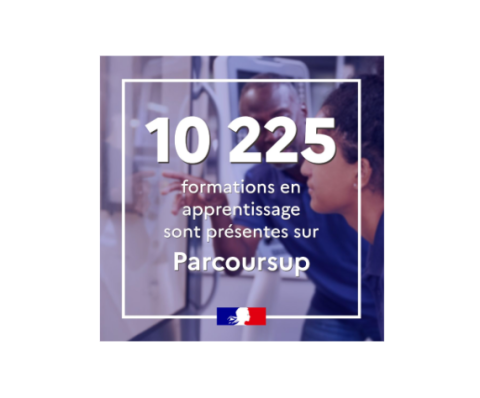 10225 formations en apprentissage sont présentes sur parcoursup