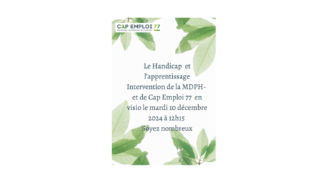 webinaire pour les apprentis dans les CFA Seine et Marnais