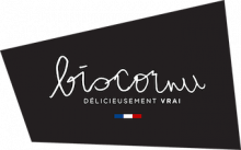Logo Biscornu